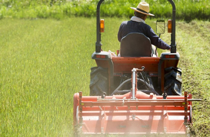 Surveillance des cultures et analyse des risques